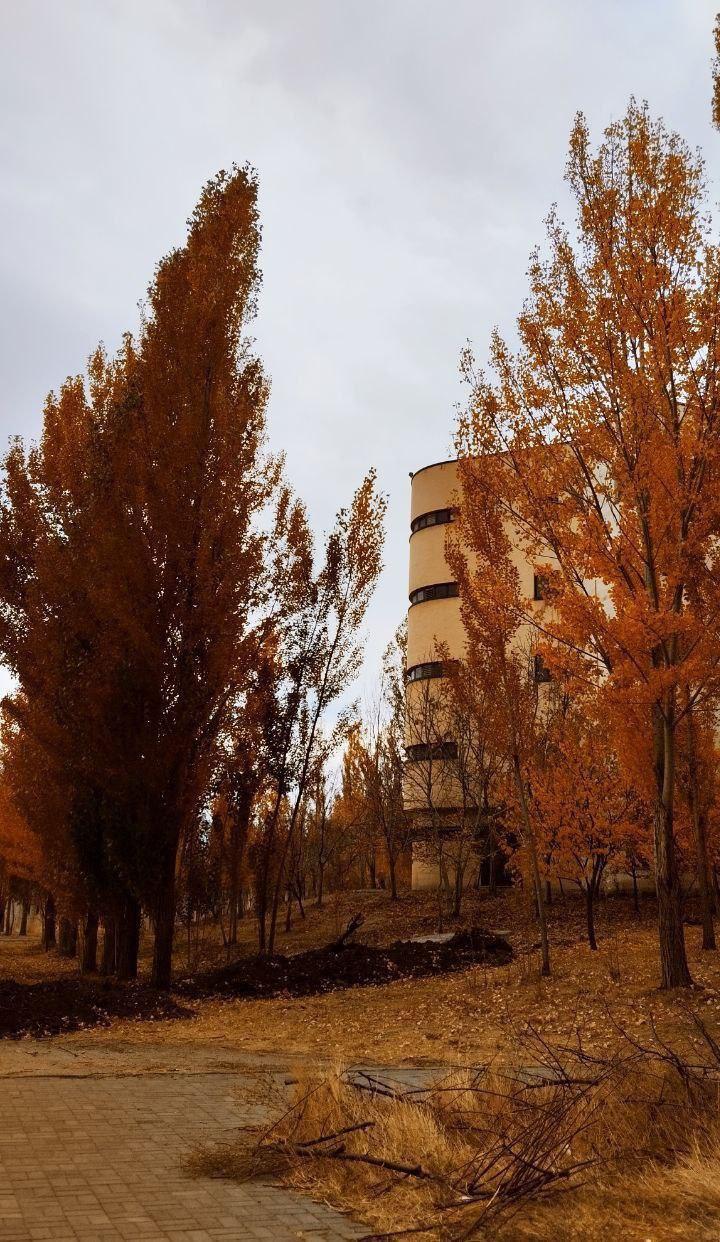 عکس دانشکده علوم اقتصادی و اجتماعی