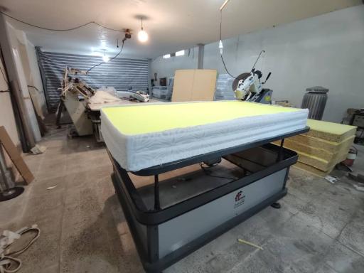 عکس تشک زیگموند