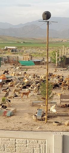 پناهگاه حیوانات آشیان زیست زاگرس