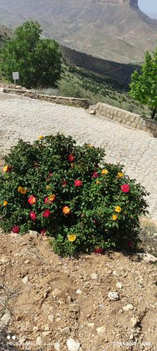 عکس کوه دراک