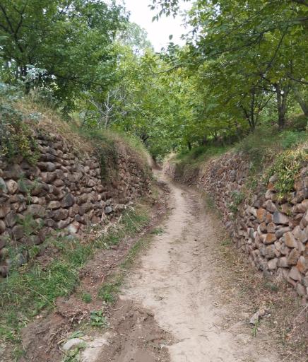 عکس کوچه باغ  زنوز