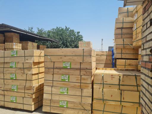 عکس سون چوب