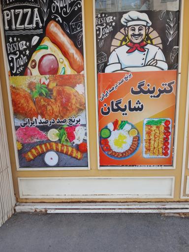 غذای شایگان