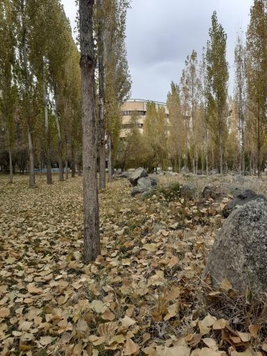 دانشکده علوم اقتصادی و اجتماعی