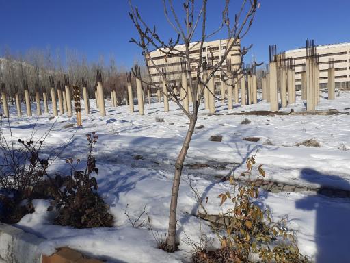 دانشکده علوم اقتصادی و اجتماعی