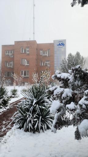 عکس گروه صنایع غذایی پاکبان