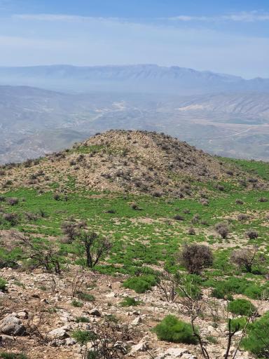 کوه دراک