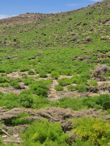 عکس کوه دراک
