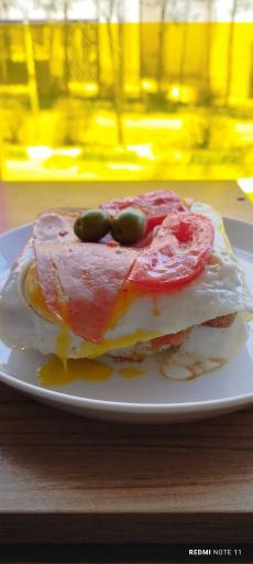 عکس کافه سافاری 