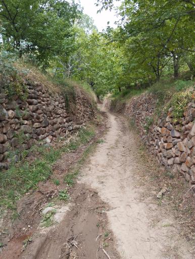 کوچه باغ  زنوز