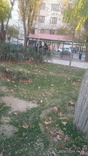 عکس پارک شفق