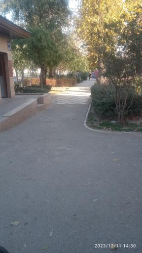 عکس پارک شفق