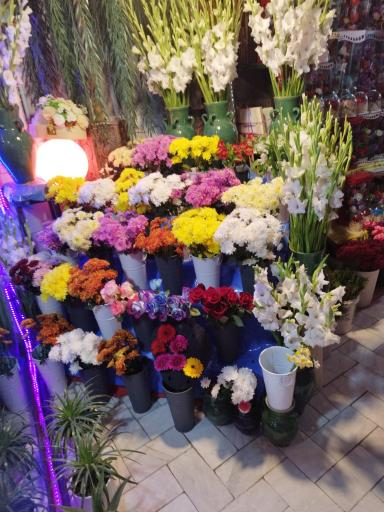 عکس گلکده لیلیوم