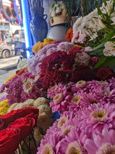 عکس گلکده لیلیوم