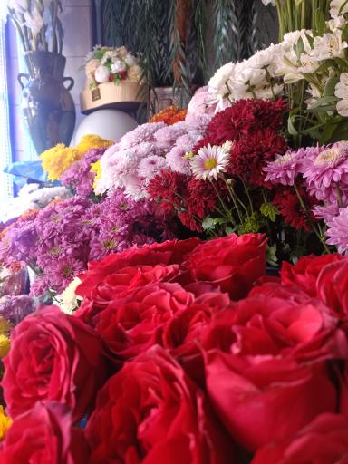 عکس گلکده لیلیوم