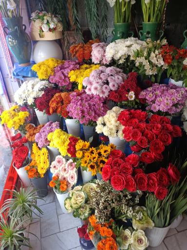 عکس گلکده لیلیوم