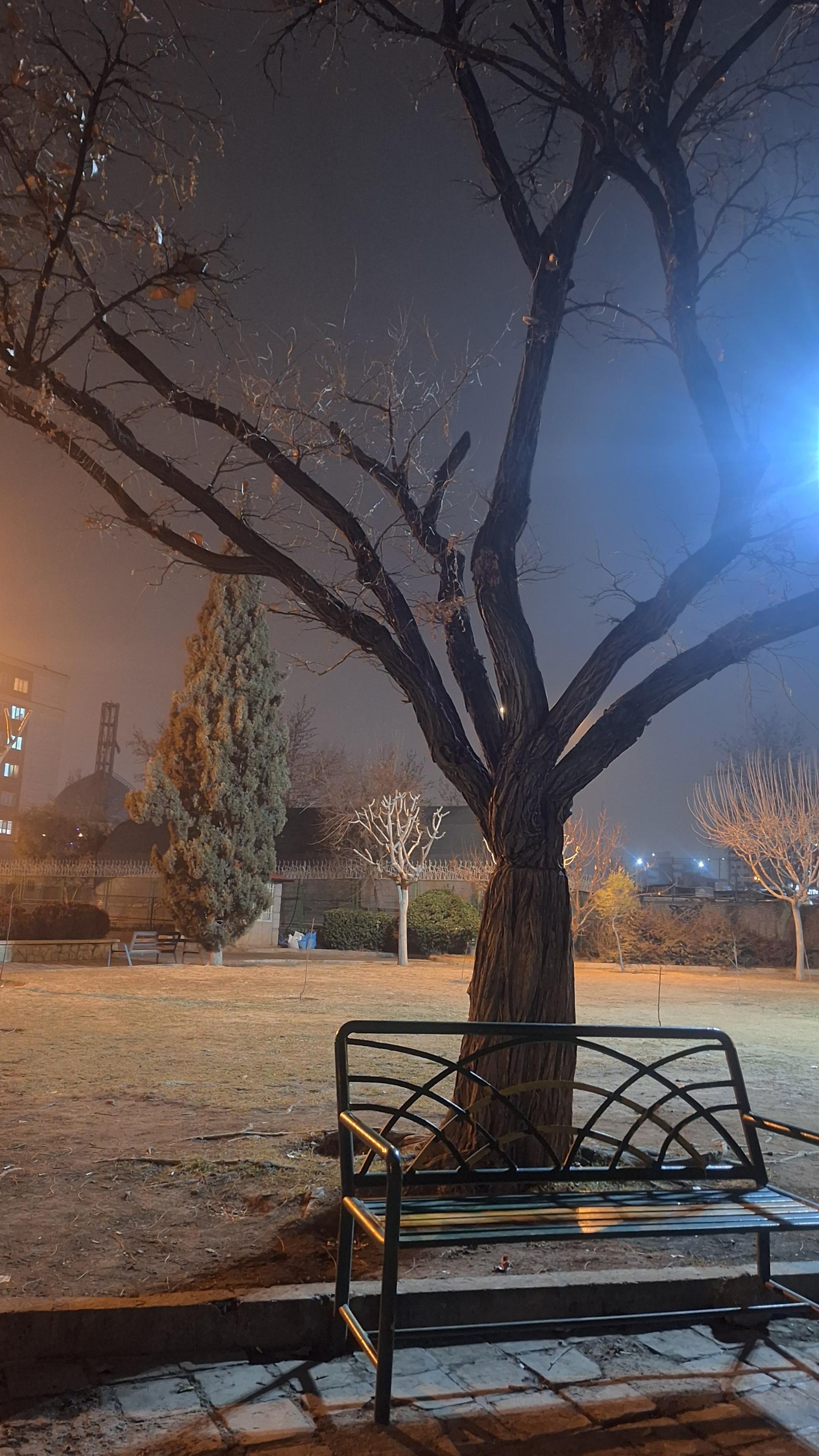 عکس پارک ریما