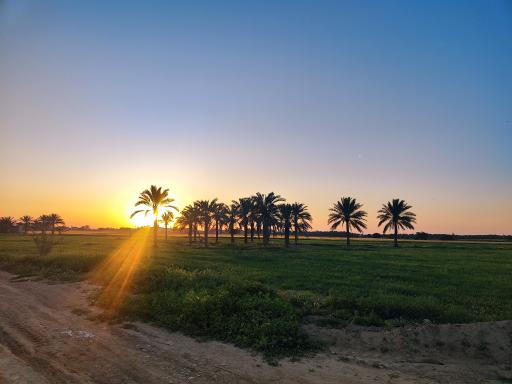 عکس بویری