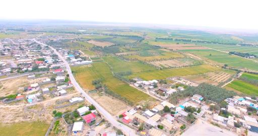 عکس بویری