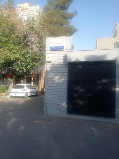 عکس دكتر پرستو زارع