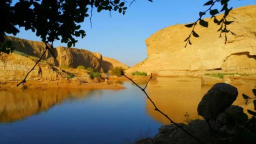 عکس بویری
