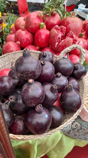 عکس اداره میراث فرهنگی، گردشگری و صنایع دستی شهرستان ساوه