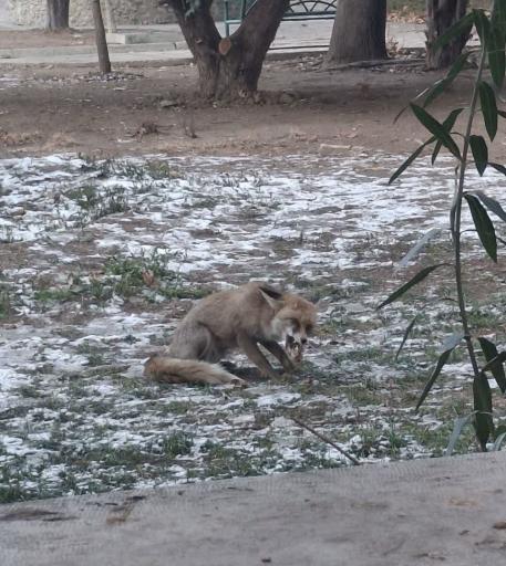 عکس پارک ریما