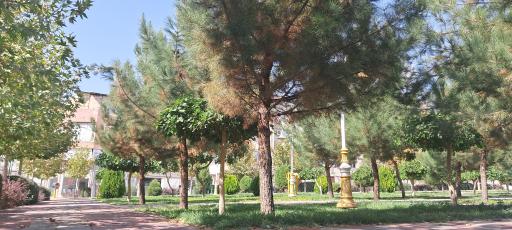 عکس پارک مسجد نورالزهرا سلام الله علیها