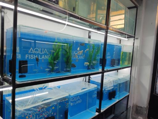 عکس آکواریوم پارسیان