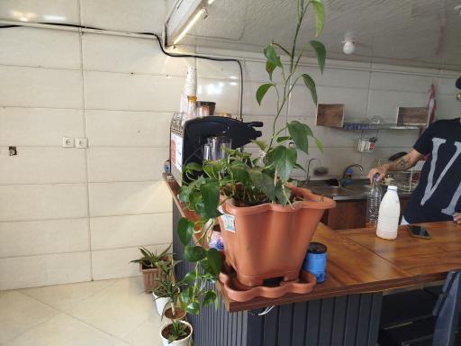 عکس کافه قهوه 