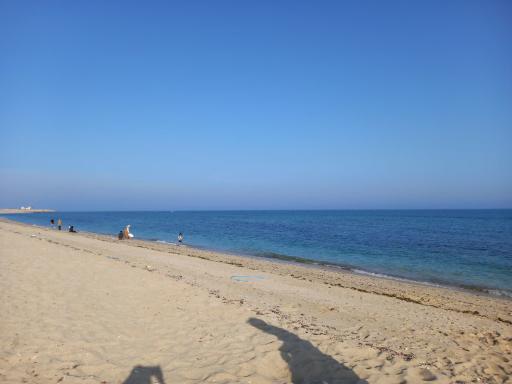 عکس ساحل شیب دراز