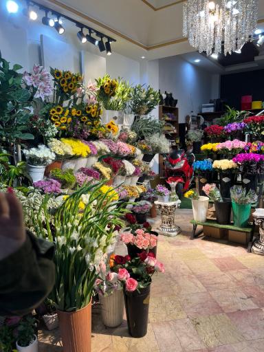 عکس گل فروشی مریم