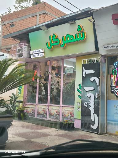 عکس شهرگل 