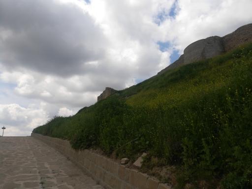 عکس قلعه تاریخی محمدتقی خان کیانی