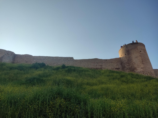 عکس قلعه تاریخی محمدتقی خان کیانی