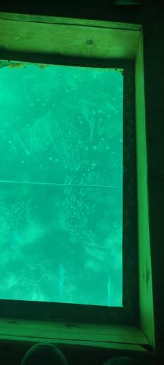 عکس کشتی تفریحی آکواریوم تینا