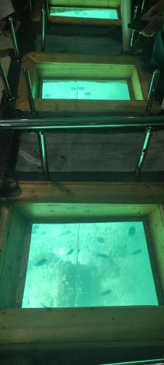 عکس کشتی تفریحی آکواریوم تینا