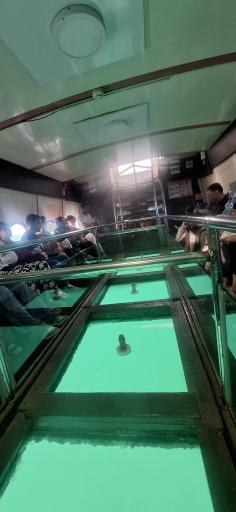 عکس کشتی تفریحی آکواریوم تینا