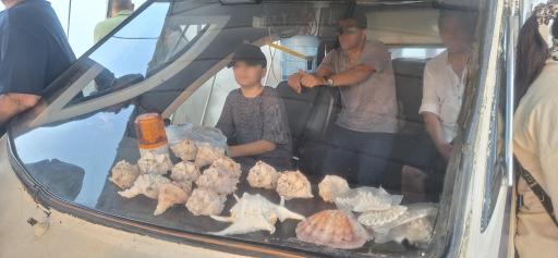 کشتی تفریحی آکواریوم تینا