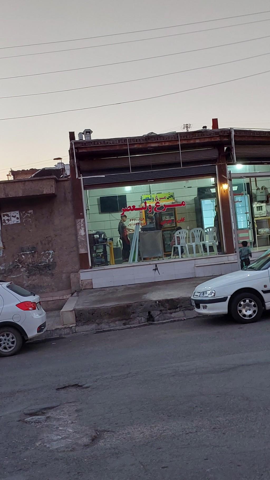 عکس مرغ ولیعصر گودرزوند