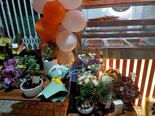 عکس سوخاری لند