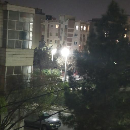 عکس بوستان سرسبز