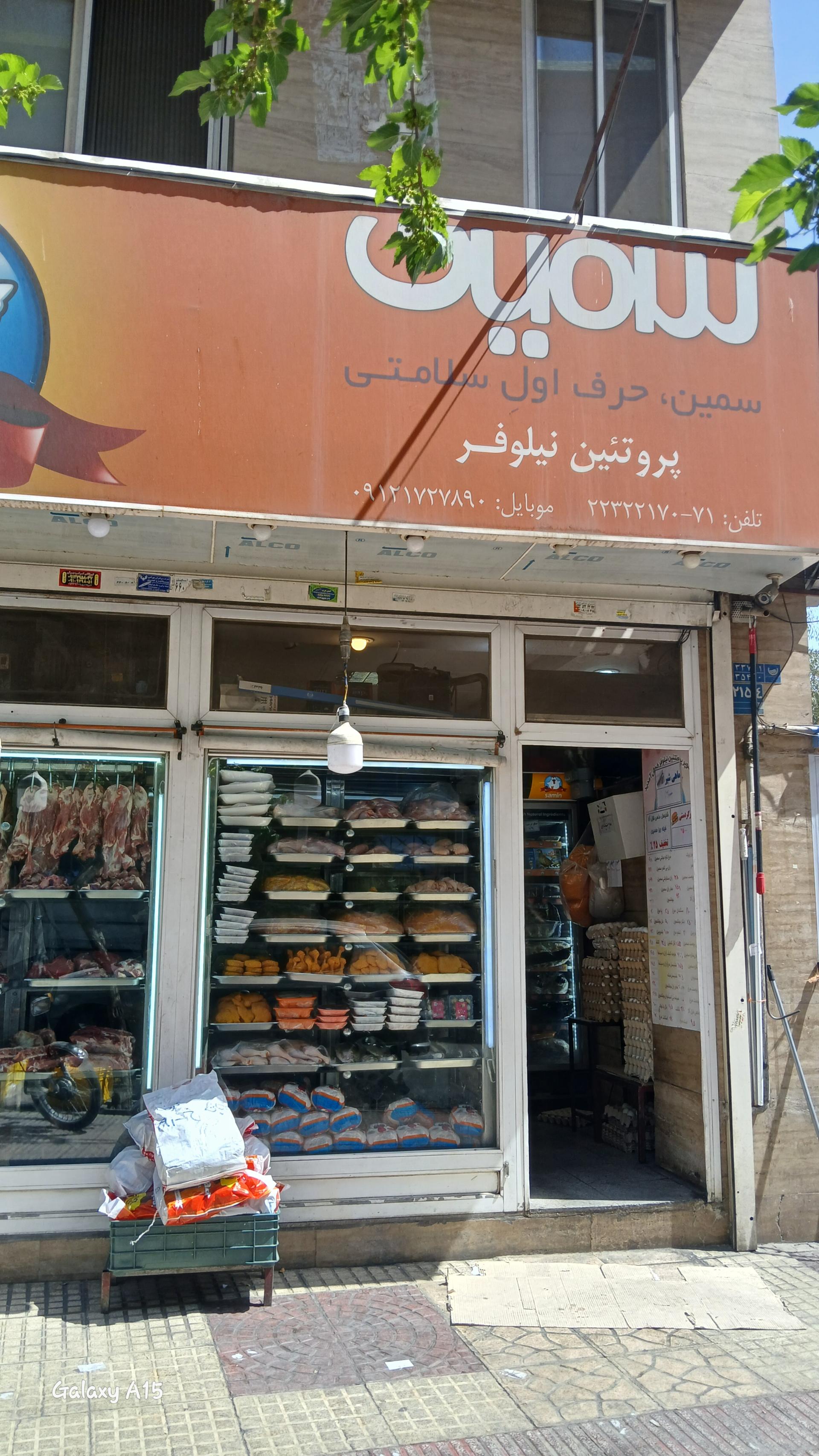 عکس پروتئین نیلوفر