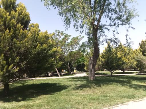 عکس پارک گل نرگس