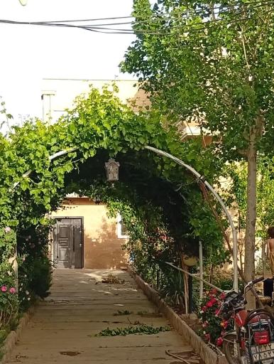 باغچه تالار پانیسا