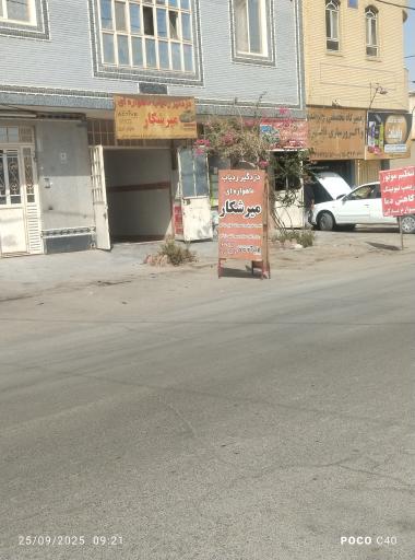 عکس دزدگیر ردیاب میرشکار