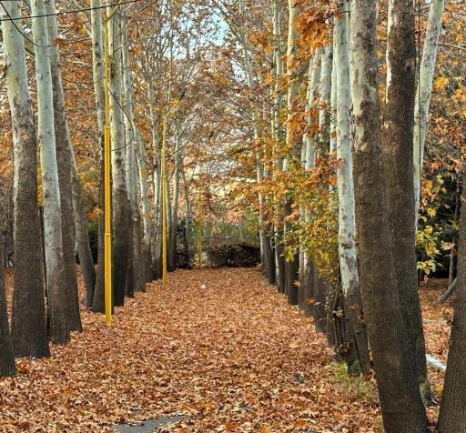 عکس استان همدان