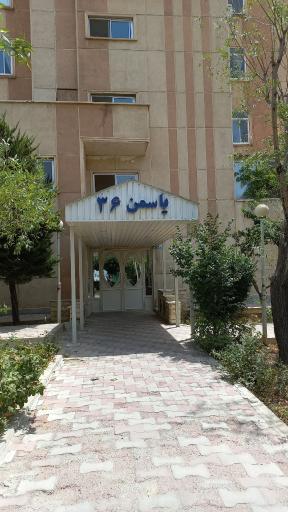 عکس یاسمن ۳۶