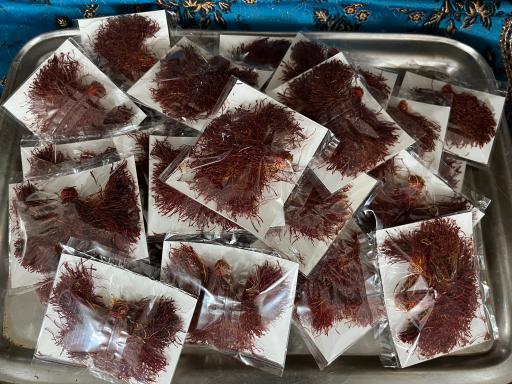 عکس زعفران ساتگین (مختاری)