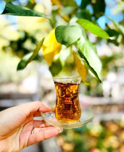 عکس رستوران اقاقیا